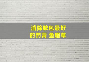 消除脓包最好的药膏 鱼腥草